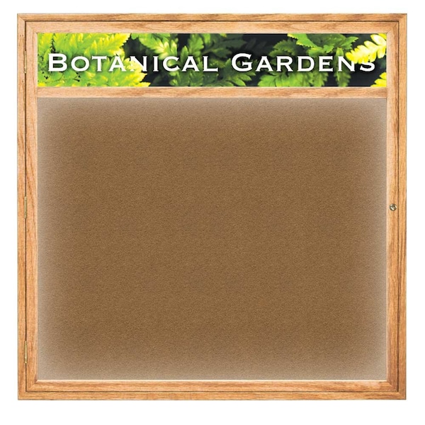 Open Faced Traditional Corkboard, 36x24"